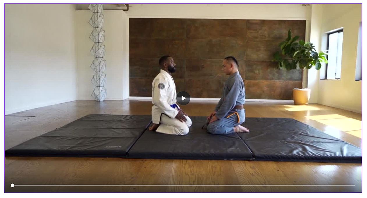 jiujutsu-video